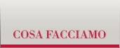 Cosa facciamo